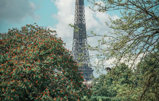 Location bureau Paris 5