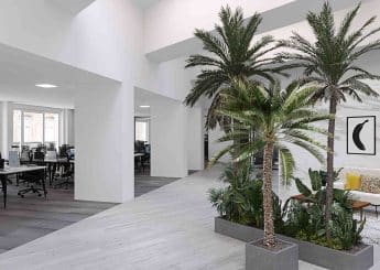 Myflexoffice Location de bureaux Paris 75008 Le Funes Openspace
