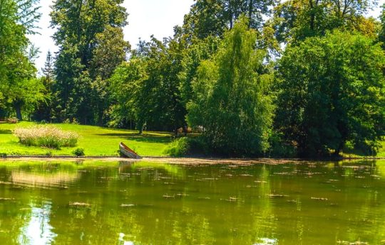 Myflexoffice location bureau bois de boulogne