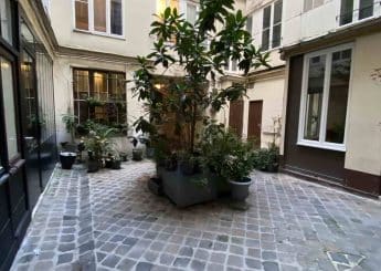 Myflexoffice bureau location paris 3 Jungle cour intérieure