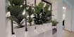 Myflexoffice bureau location paris 3 Jungle espace informel
