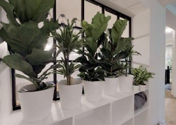 Myflexoffice bureau location paris 3 Jungle espace informel