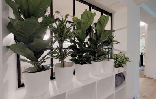 Myflexoffice bureau location paris 3 Jungle espace informel