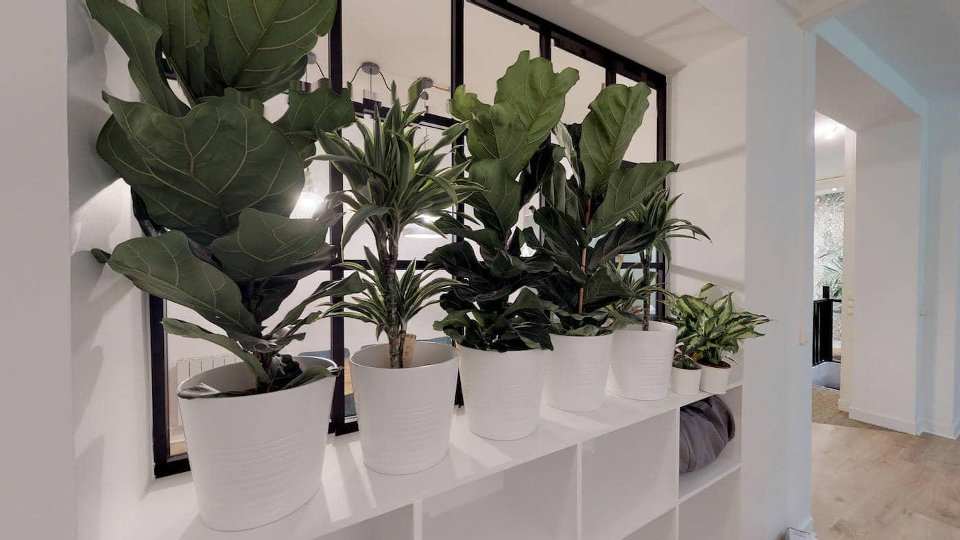 Myflexoffice bureau location paris 3 Jungle espace informel