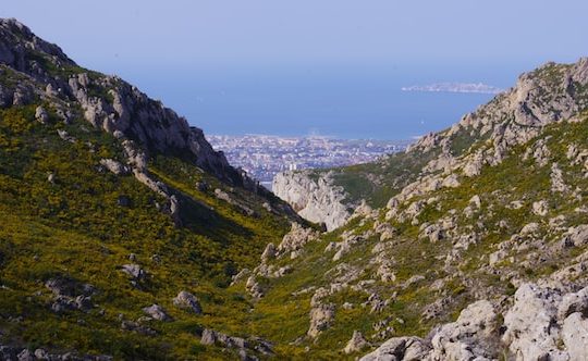 myflexoffice location bureaux marseille nature vue